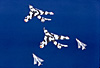 Victors in formation with Lightnings over the Med 1969 [Mike Grierson]