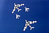 Victors in formation with Lightnings over the Med 1969 [Mike Grierson]